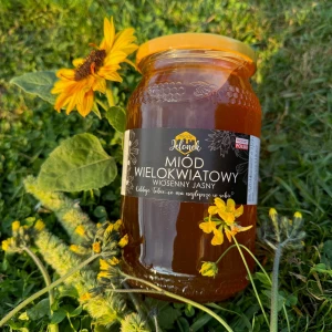 Miód wielokwiatowy - wiosenny jasny